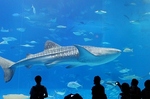 2010_10_27_4382.jpg