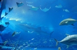 2010_10_27_4387.jpg