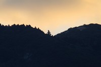 IMG_8870.jpg