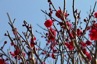 IMG_9075.jpg